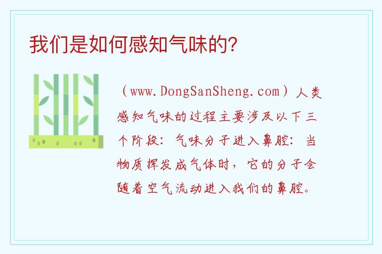 是什么使我们能够闻到气味？，是什么使我们能够闻到气味？