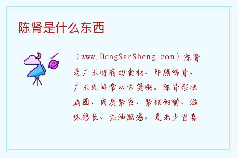 陈肾是什么东西 