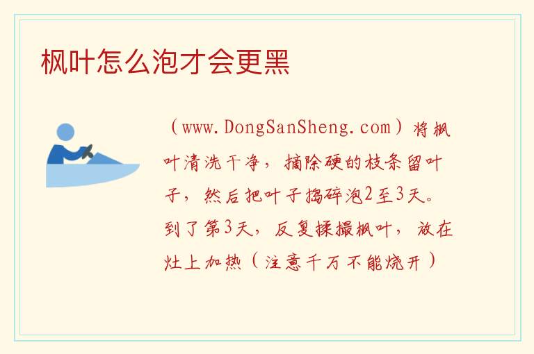 枫叶怎么泡才会更黑 