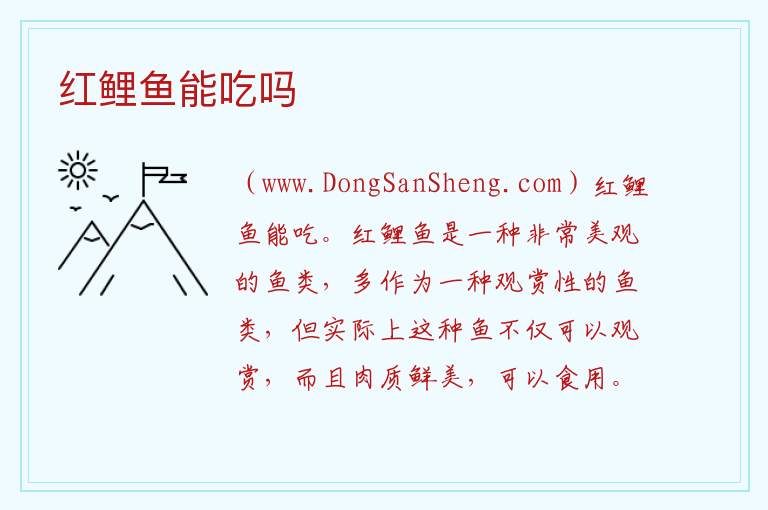 红鲤鱼能吃吗 