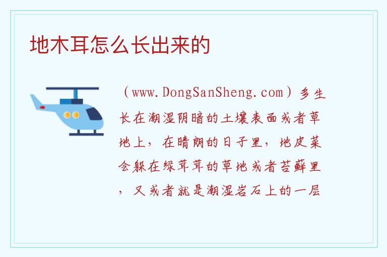 地木耳怎么长出来的 