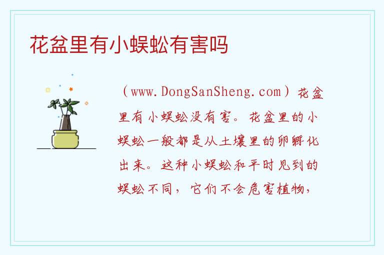 花盆里有小蜈蚣有害吗 