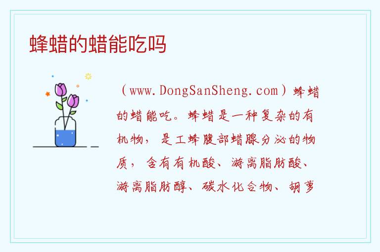蜂蜡的蜡能吃吗 