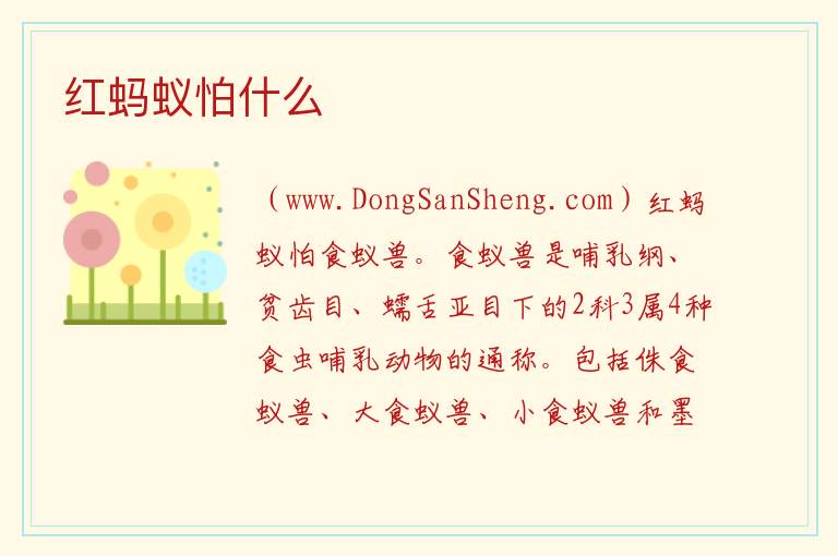 红蚂蚁怕什么 