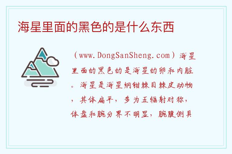海星里面的黑色的是什么东西 