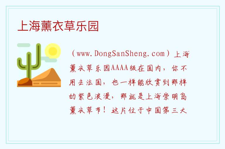 上海薰衣草乐园 上海市崇明区：上海薰衣草乐园旅游攻略