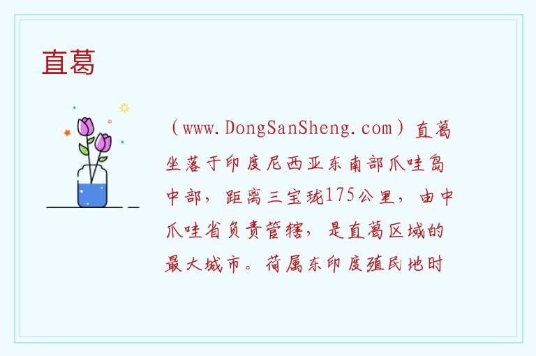 直葛 亚洲印度尼西亚：直葛旅游攻略