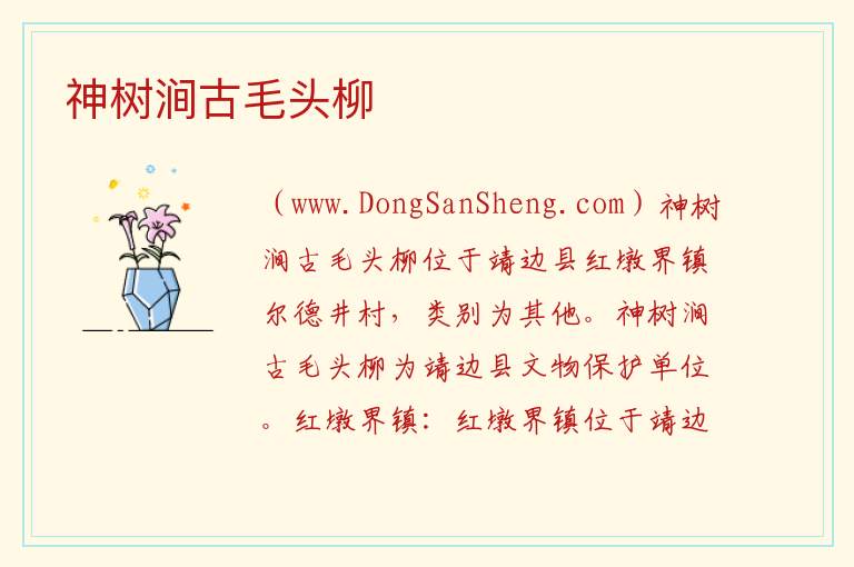 神树涧古毛头柳 陕西省榆林市靖边县：神树涧古毛头柳旅游攻略