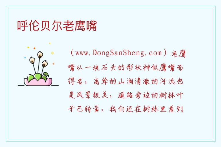 呼伦贝尔老鹰嘴 内蒙古自治区呼伦贝尔额尔古纳：呼伦贝尔老鹰嘴旅游攻略