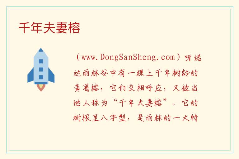 海南省保亭县：千年夫妻榕旅游攻略，海南省保亭县：千年夫妻榕旅游攻略