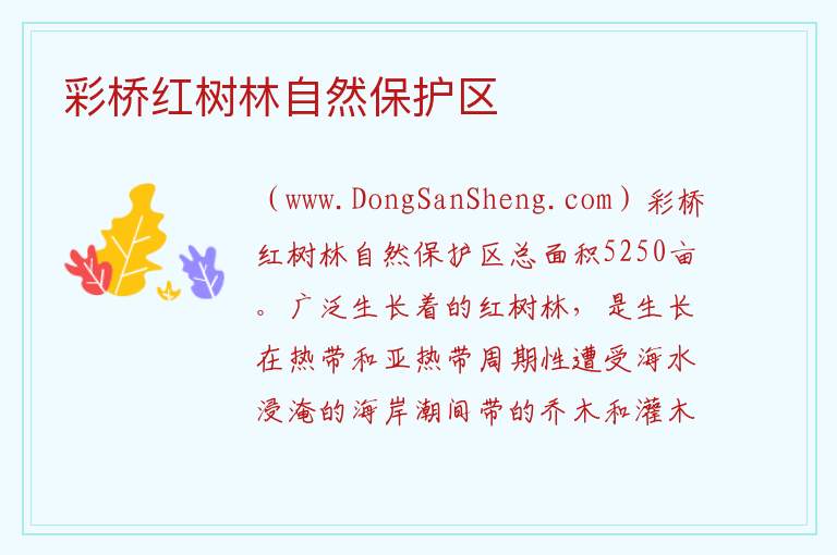 彩桥红树林自然保护区 海南省临高县：彩桥红树林自然保护区旅游攻略