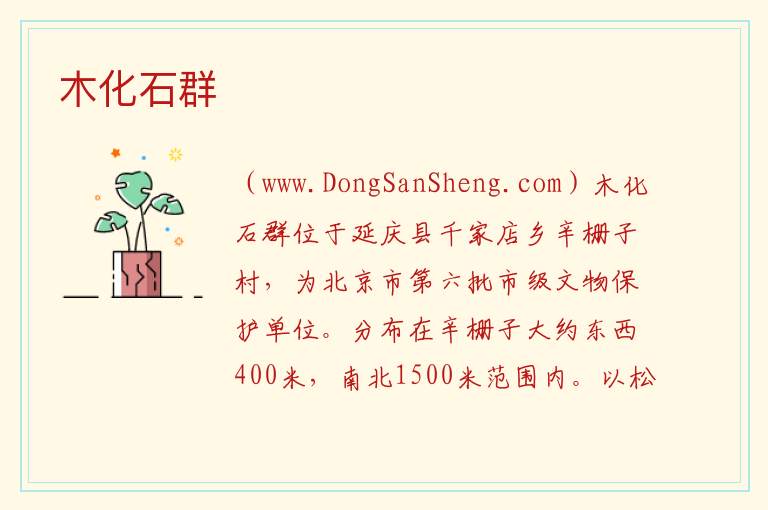 北京市延庆区：木化石群旅游攻略，北京市延庆区：木化石群旅游攻略