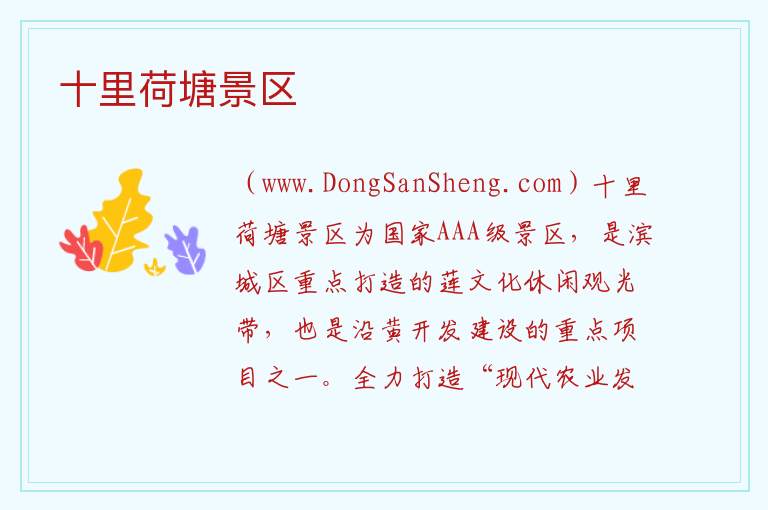 山东省滨州市滨城区：十里荷塘景区旅游攻略，山东省滨州市滨城区：十里荷塘景区旅游攻略