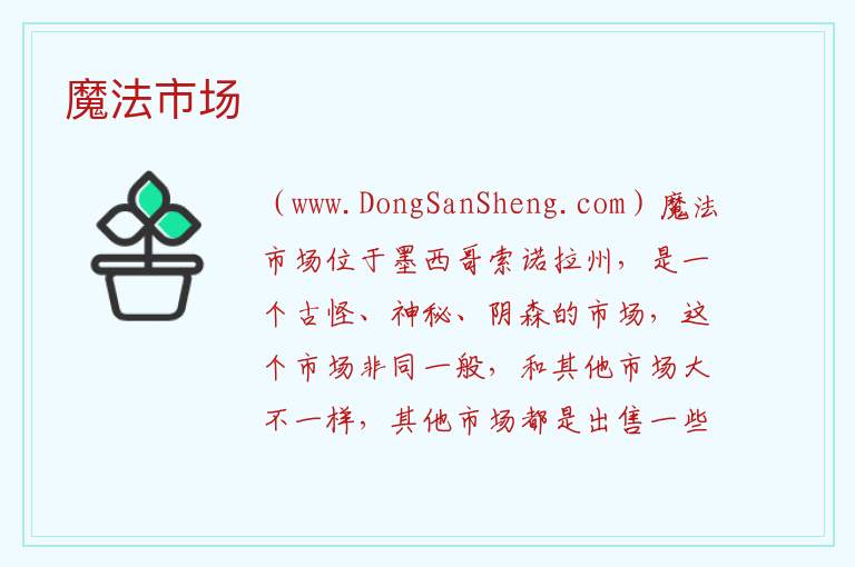 魔法市场 美洲墨西哥：魔法市场旅游攻略