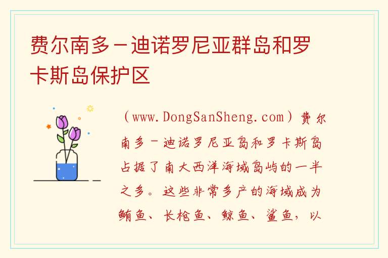 费尔南多－迪诺罗尼亚群岛和罗卡斯岛保护区 美洲巴西伯南布哥州：费尔南多－迪诺罗尼亚群岛和罗卡斯岛保护区旅游攻略