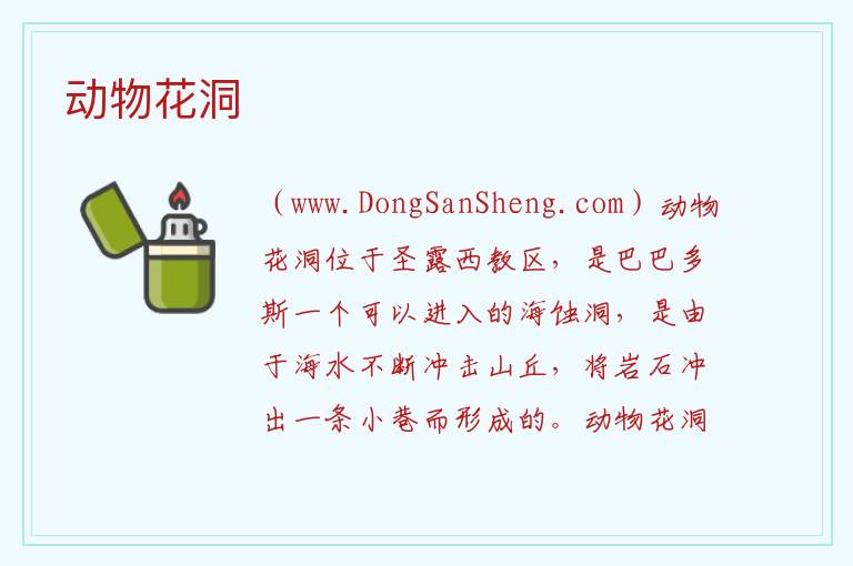 动物花洞 美洲巴巴多斯：动物花洞旅游攻略