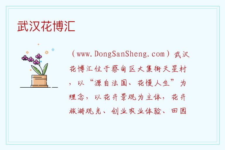 湖北省武汉市蔡甸区：武汉花博汇旅游攻略，湖北省武汉市蔡甸区：武汉花博汇旅游攻略