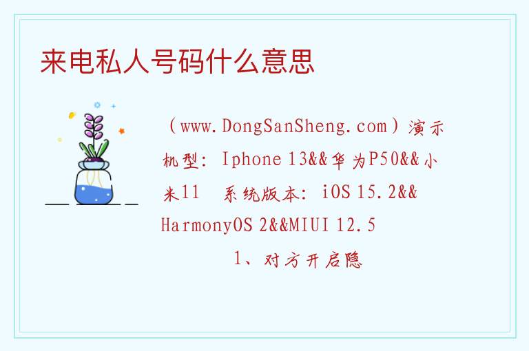 来电私人号码什么意思 