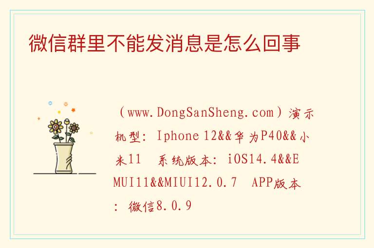 微信群里不能发消息是怎么回事 