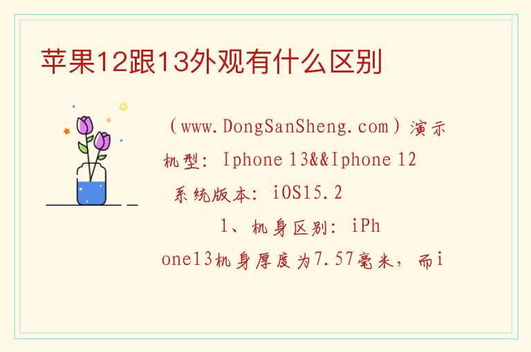 苹果12跟13外观有什么区别 