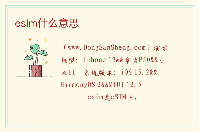 esim什么意思 