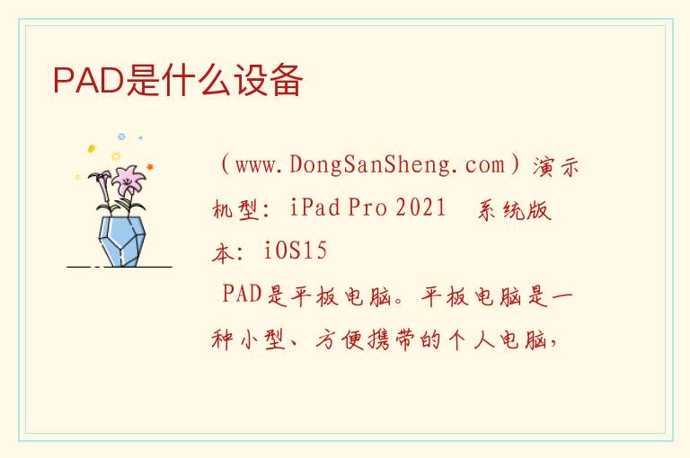 PAD是什么设备 
