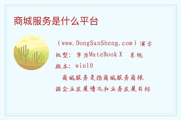 商城服务是什么平台 