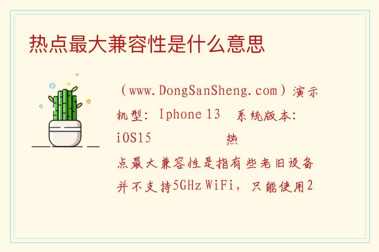 热点最大兼容性是什么意思 