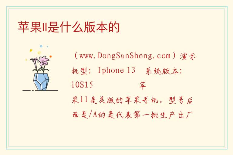 苹果ll是什么版本的 