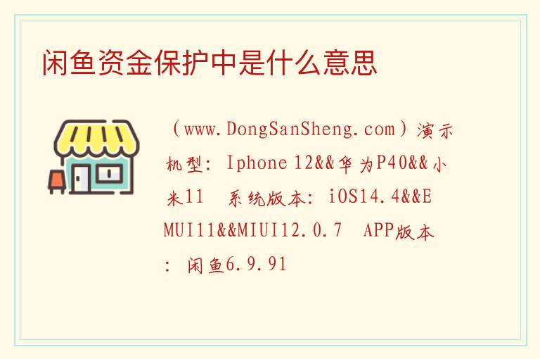 闲鱼资金保护中是什么意思 