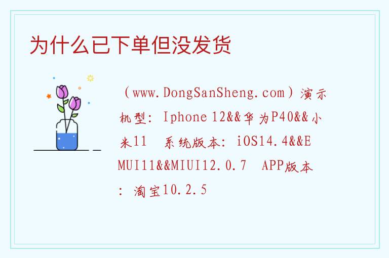 为什么已下单但没发货 