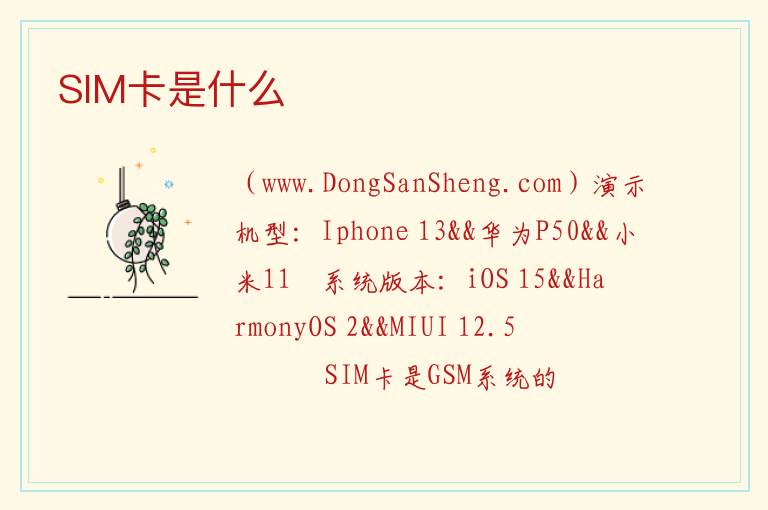 SIM卡是什么 