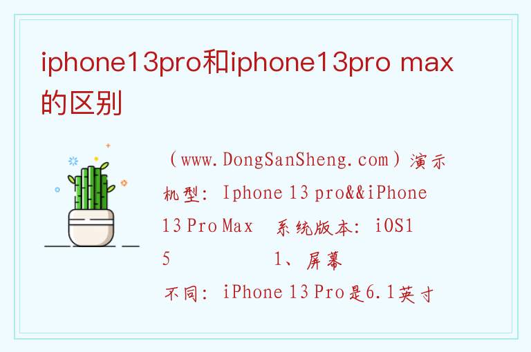 iphone13pro和iphone13pro max的区别 