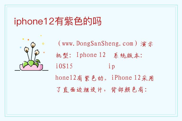 iphone12有紫色的吗 