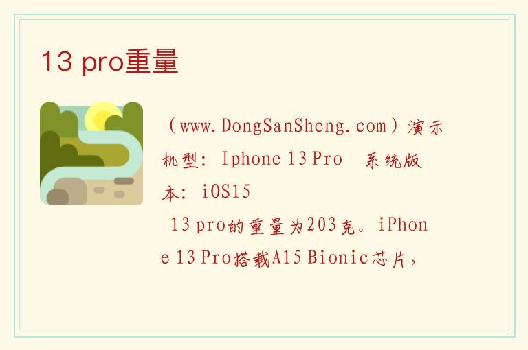 13 pro重量 