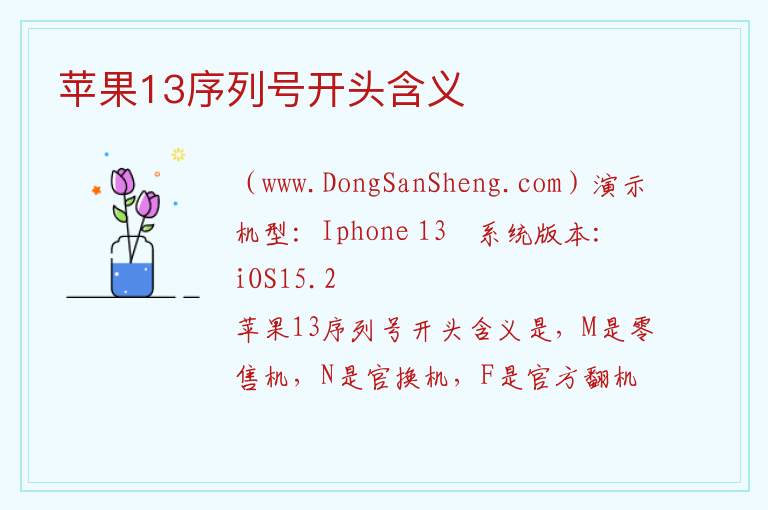 苹果13序列号开头含义 