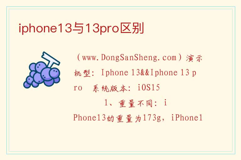 iphone13与13pro区别 