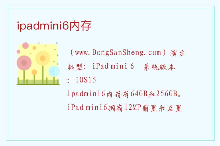 ipadmini6内存 