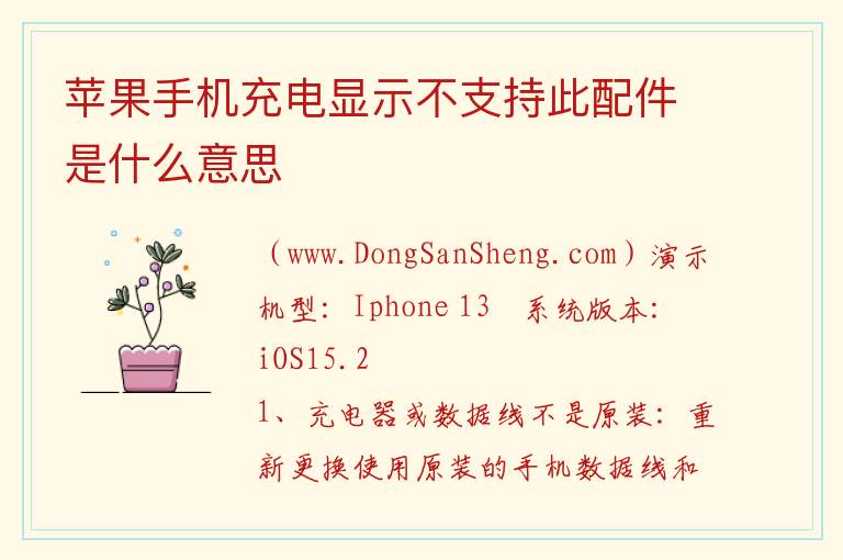 苹果手机充电显示不支持此配件是什么意思 