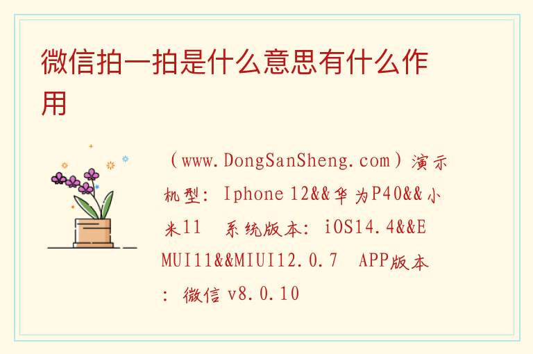 微信拍一拍是什么意思有什么作用 