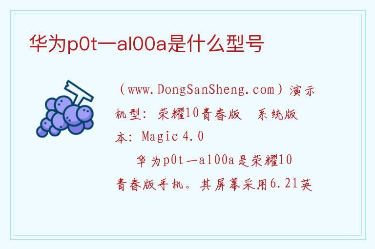 华为p0t一al00a是什么型号 