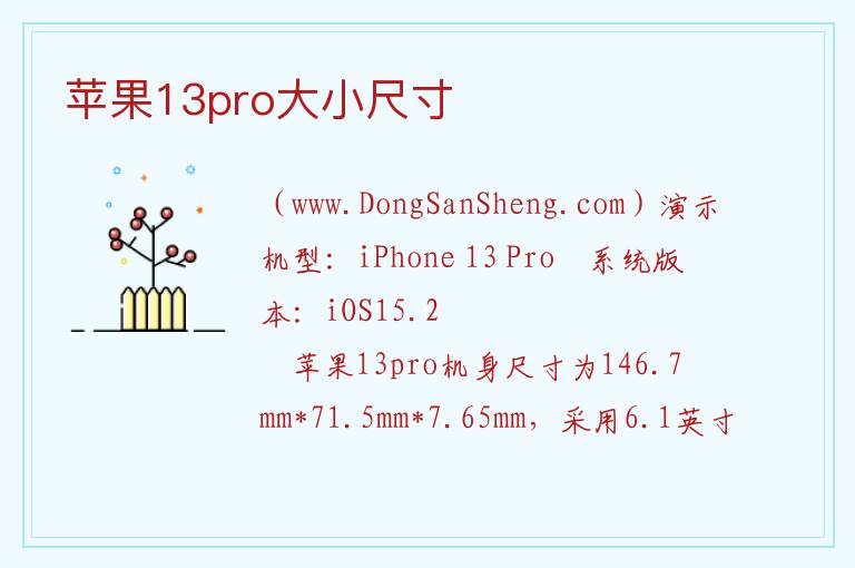苹果13pro大小尺寸 