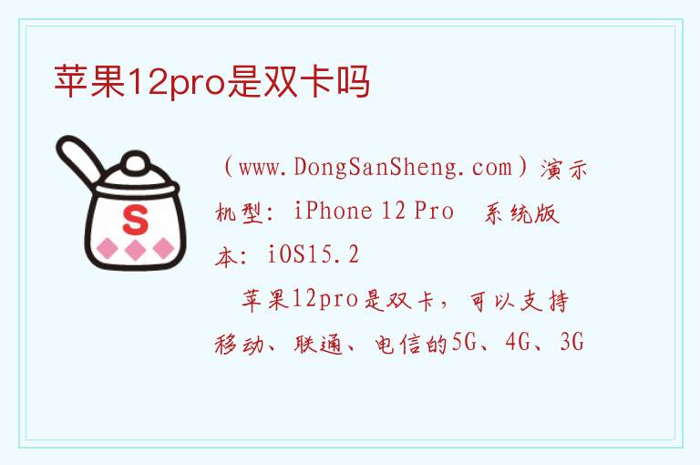 苹果12pro是双卡吗 