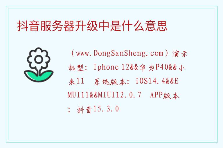 抖音服务器升级中是什么意思 