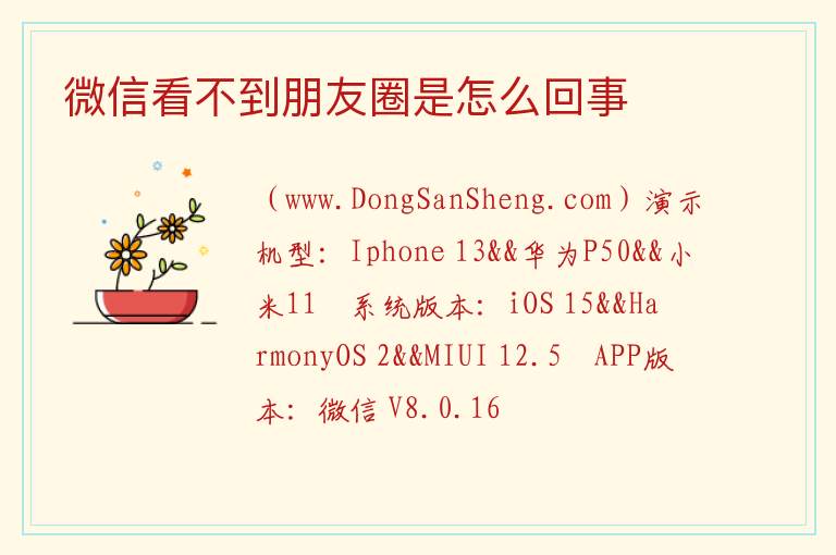 微信看不到朋友圈是怎么回事 