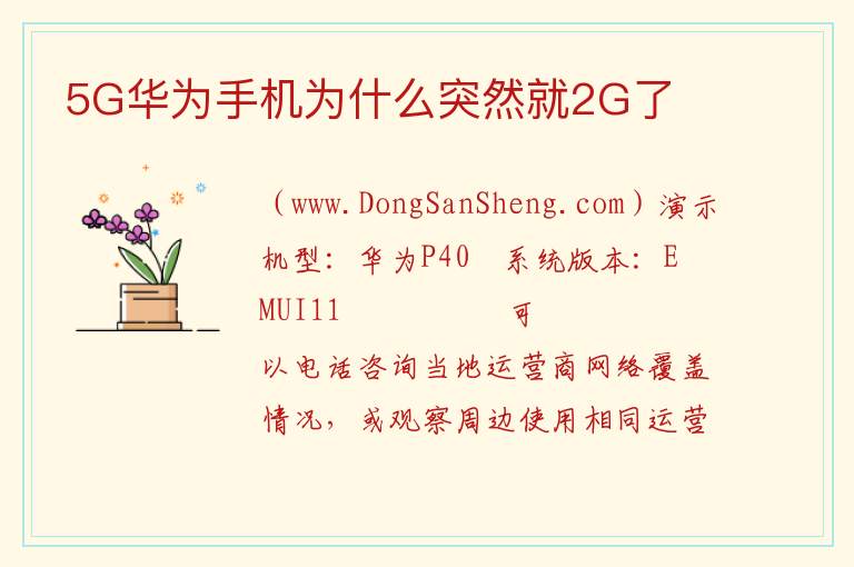 5G华为手机为什么突然就2G了 