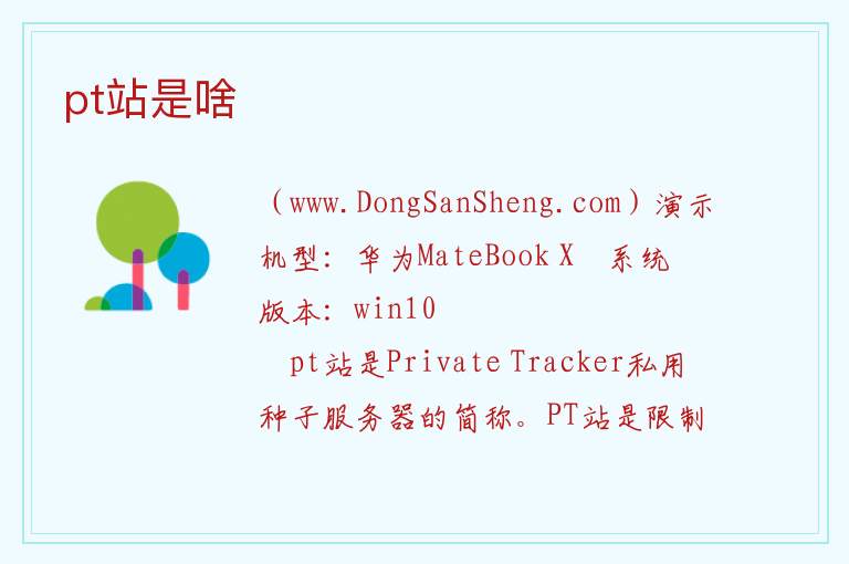 pt站是啥 