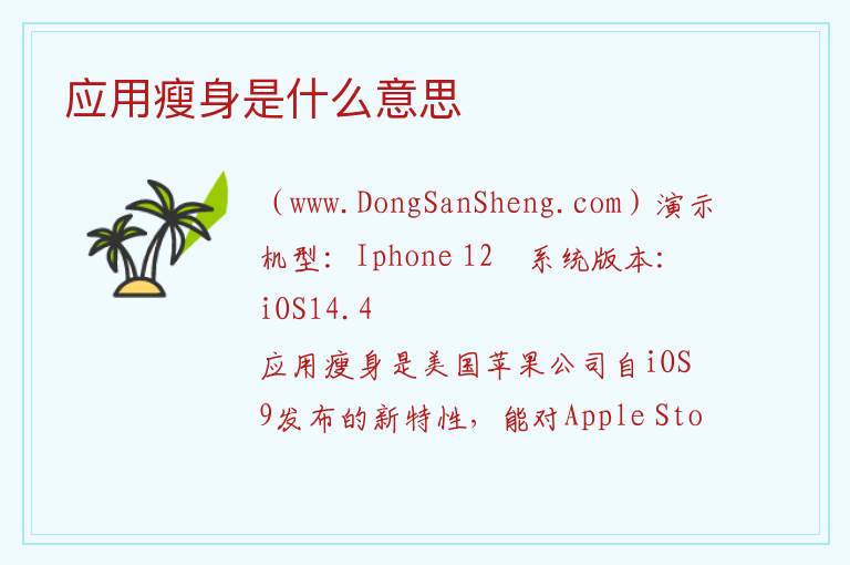 应用瘦身是什么意思 