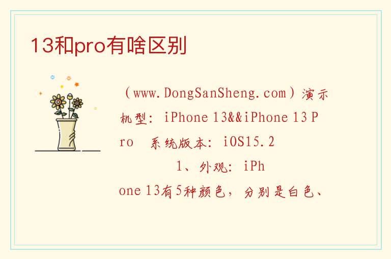 13和pro有啥区别 