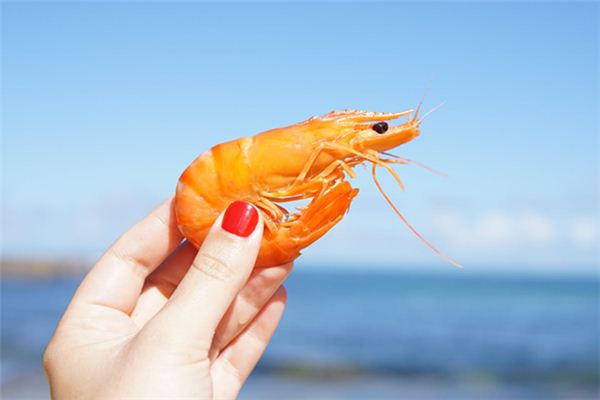 做梦梦到虾是什么意思